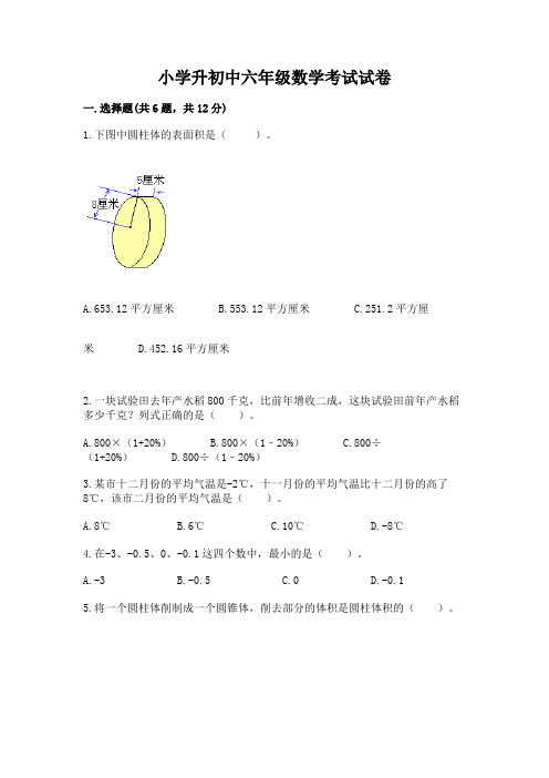 小学升初中六年级数学考试试卷及参考答案(考试直接用)