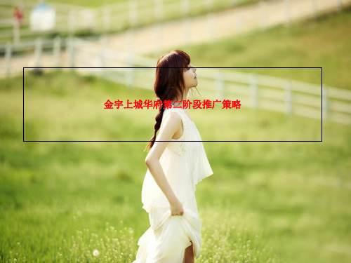 金宇上城华府第二阶段推广策略