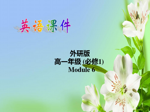 外研版高中英语必修一Module 6 The Internet and TelecommunicationsFunction课件ppt