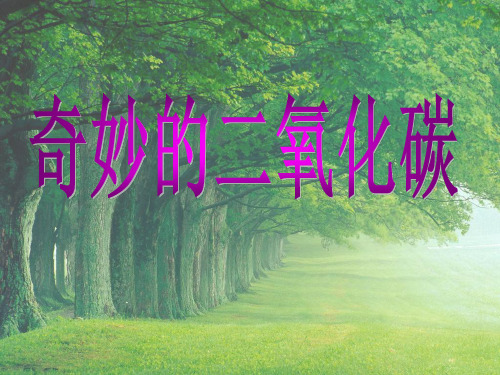 九年级化学奇妙的二氧化碳ppt课件