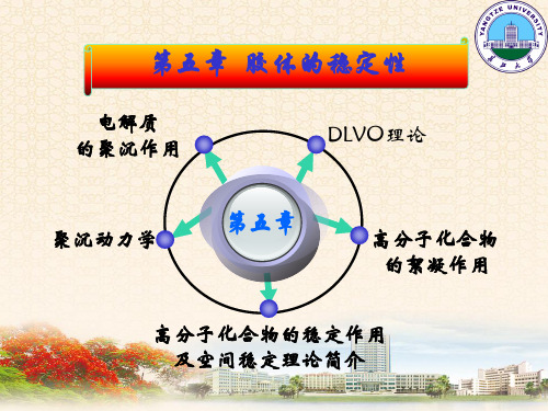 第五章 胶体的稳定性