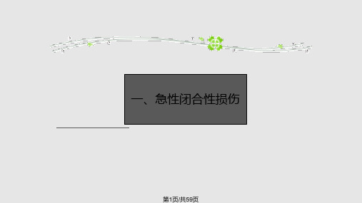 常见软组织损伤的病理生理特点疼痛的生理学基础PPT课件