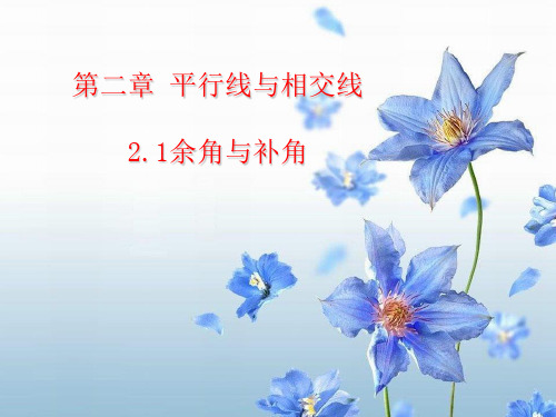 新北师大版七年级数学下册第二章《 余角和补角》公开课课件