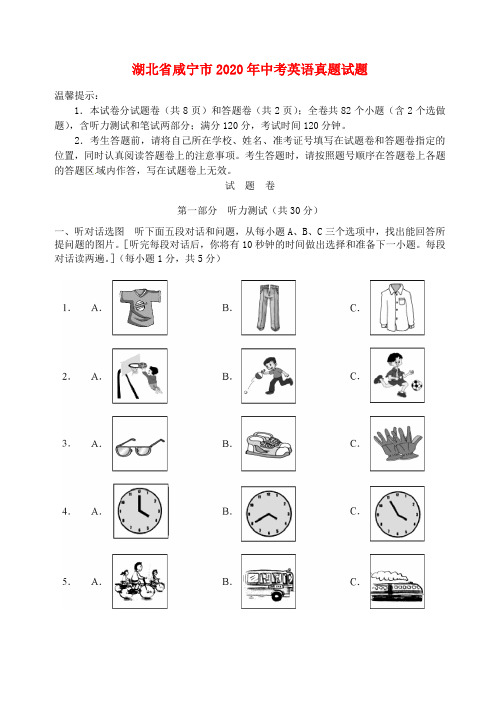 湖北省咸宁市2020年中考英语真题试题(含答案)