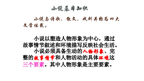 海南省华东师范大学第二附属中学乐东黄流中学人教版高中语文必修五  小说主题 课件(共51张PPT)