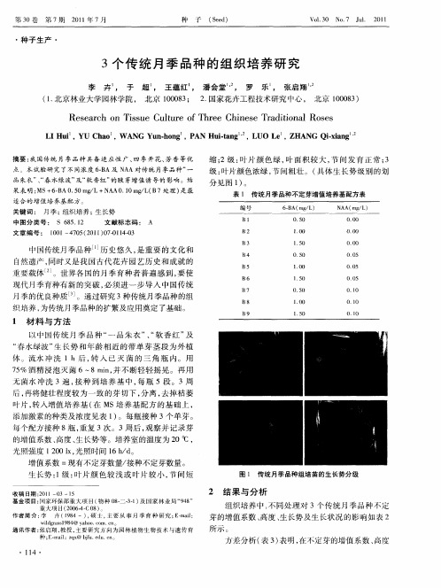 3个传统月季品种的组织培养研究