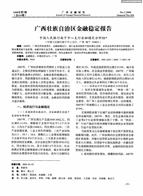 广西壮族自治区金融稳定报告