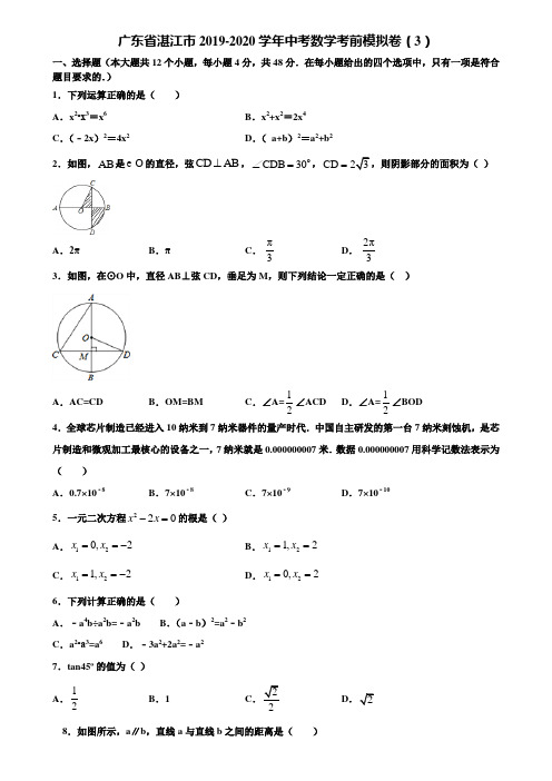 广东省湛江市2019-2020学年中考数学考前模拟卷(3)含解析