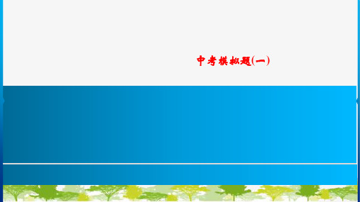 人教版物理九年级下册中考模拟题(一)课件