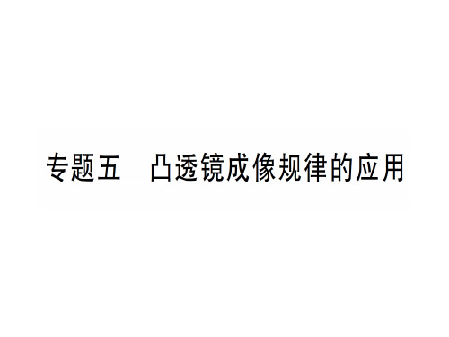 第四章 专题五 凸透镜成像规律的应用—2020年秋沪科版八年级上册物理课件