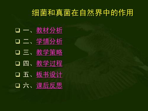 《细菌和真菌在自然界中的作用》说课课件