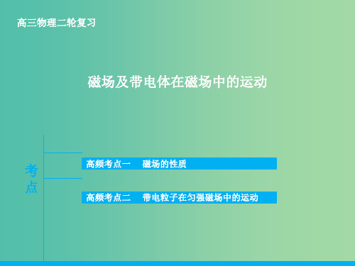 高三物理二轮复习 专题八 磁场及带电体在磁场中的运动