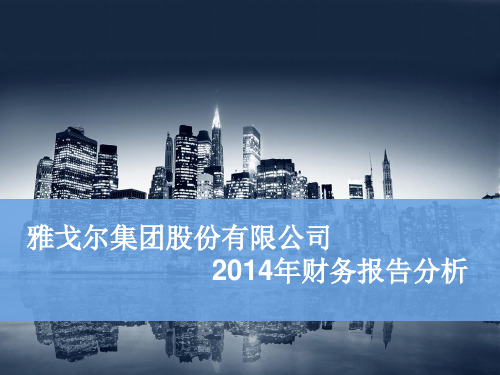 雅戈尔2014财务报表分析