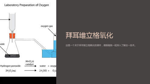 《拜耳维立格氧化》课件