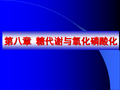 中国海洋大学考研(糖代谢与氧化磷酸化)资料