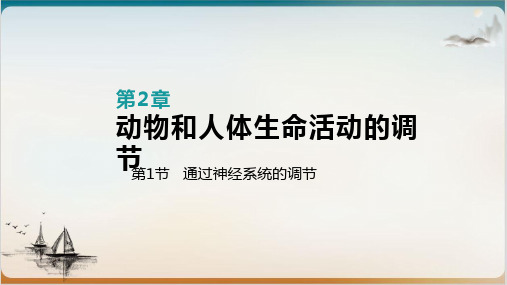 高中生物必修三人教版课件通过神经系统的调节(1)