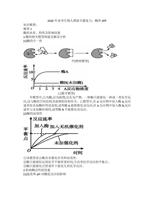 2020年高考生物人教版专题复习：酶和ATP教案设计