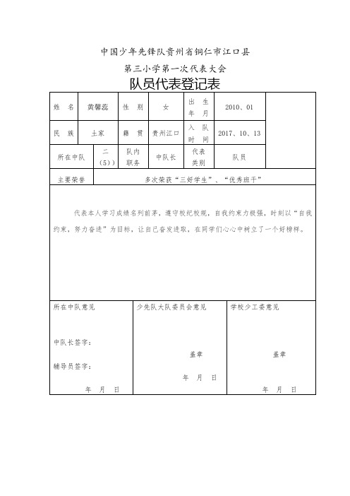 少代会队员登记表4