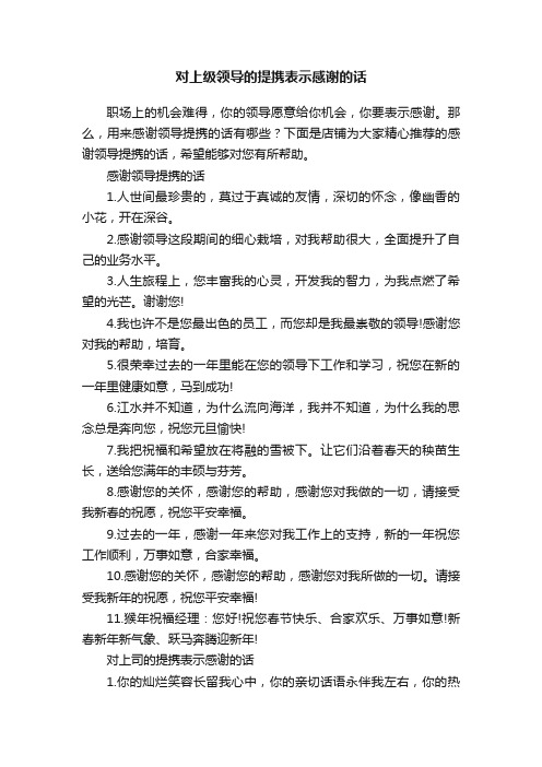 对上级领导的提携表示感谢的话