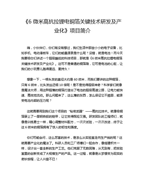 《6 微米高抗拉锂电铜箔关键技术研发及产业化》项目简介