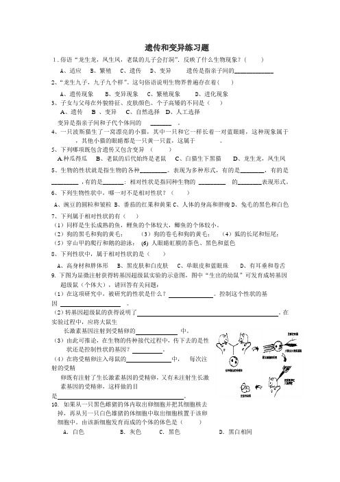 专题复习  遗传和变异