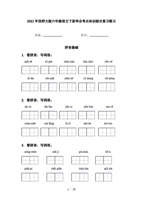 2021年西师大版六年级语文下册毕业考点知识综合复习练习