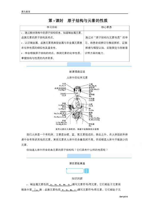 高中人教版化学必修第1册学案：4.1 第3课时 原子结构与元素的性质 含答案