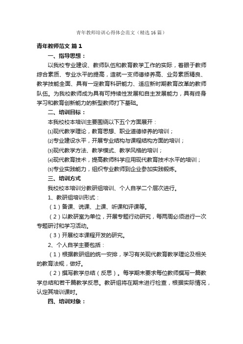 青年教师培训心得体会范文（精选16篇）