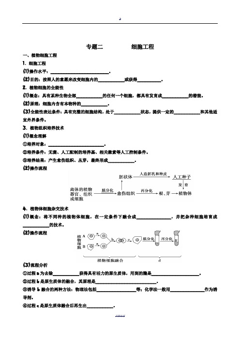 高三生物一轮复习  细胞工程学案(带答案)