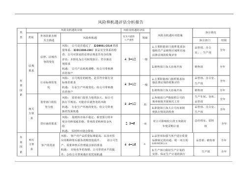 风险和机遇评估分析报告