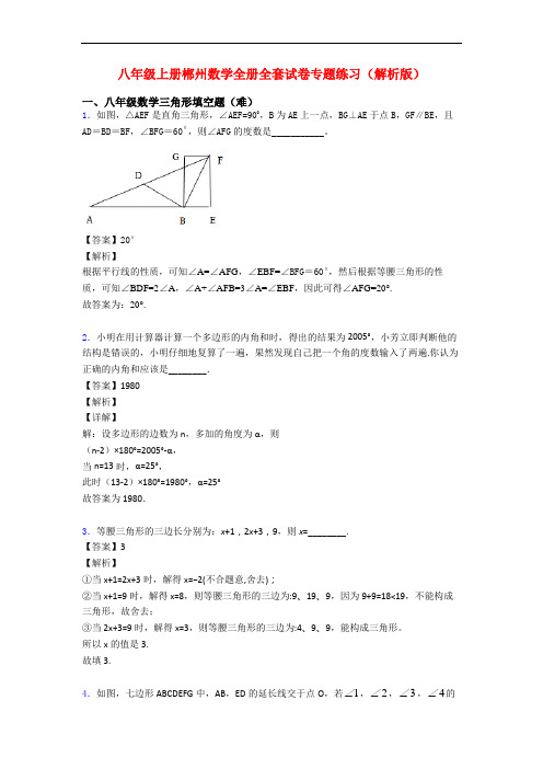 八年级上册郴州数学全册全套试卷专题练习(解析版)