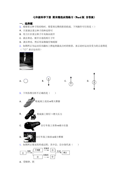 七年级科学下册 期末精选试卷练习(Word版 含答案)