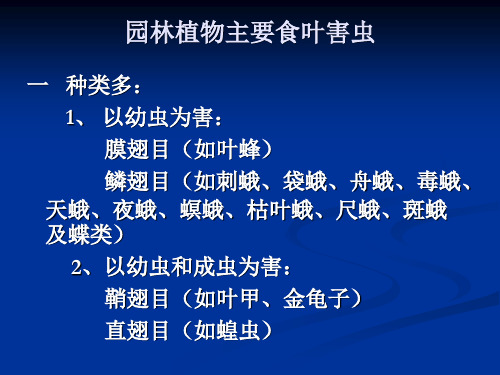 园林植物主要食叶害虫