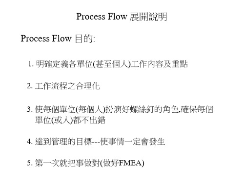 Process Flow 说明