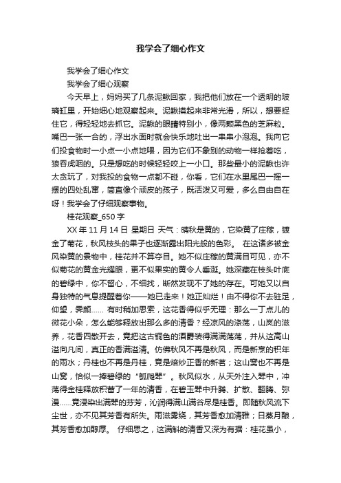 我学会了细心作文