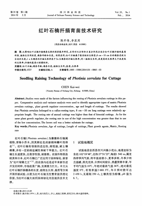 红叶石楠扦插育苗技术研究