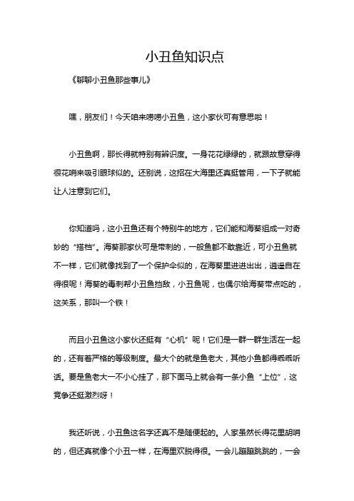 小丑鱼知识点