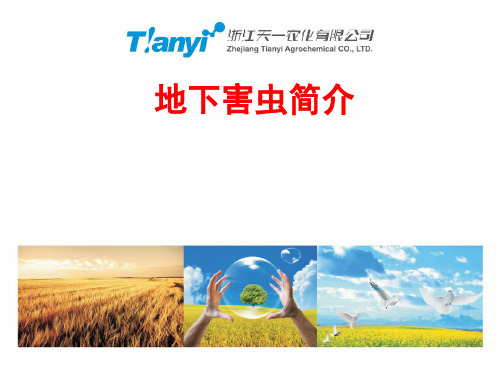 地下害虫简介..
