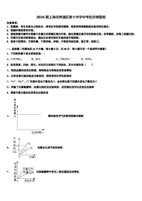 2024届上海市黄浦区第十中学中考化学押题卷含解析