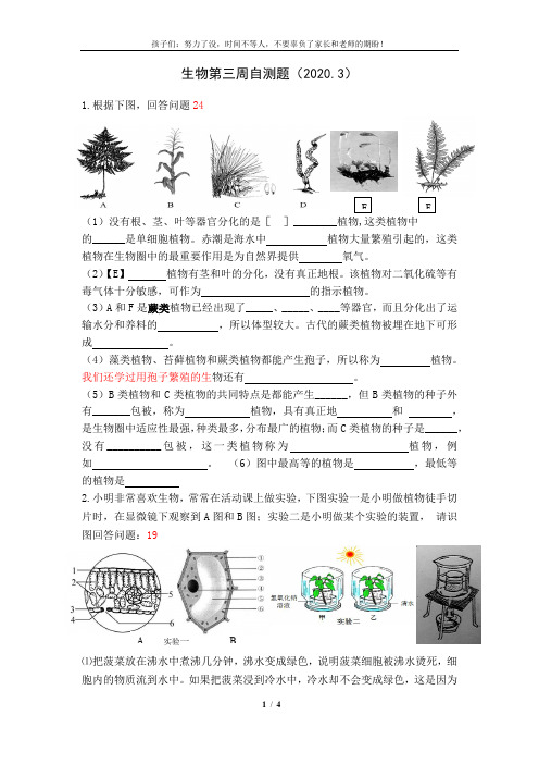 初中生物七年级上册-生物第三周自测题