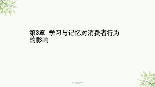 消费者行为学---学习与记忆ppt课件