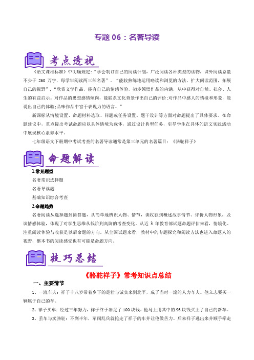 专题06：名著导读(考点清单)-2024-2025学年七年级语文下学期期中考点大串讲(统编版)