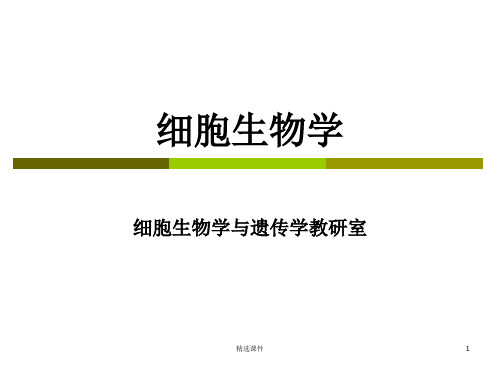 细胞生物学9章 细胞骨架