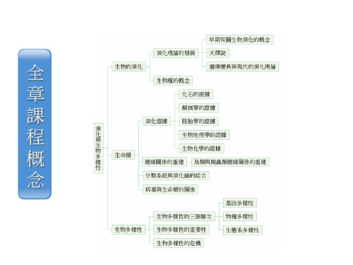 生物的演化