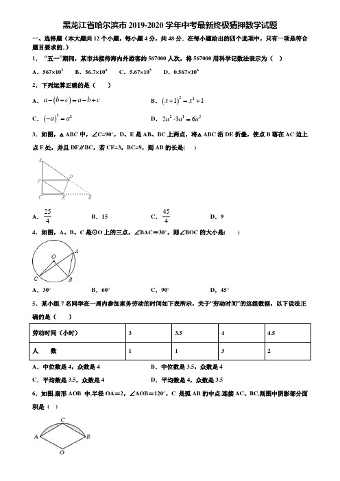 【附5套中考模拟试卷】黑龙江省哈尔滨市2019-2020学年中考最新终极猜押数学试题含解析