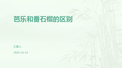 芭乐和番石榴的区别