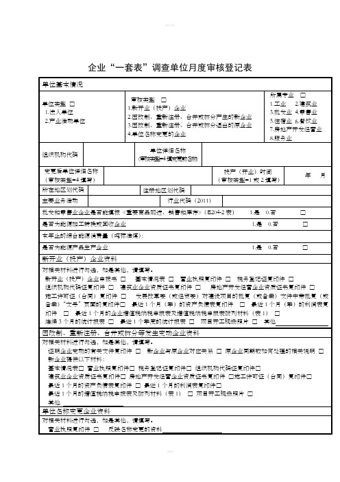 企业一套表调查单位月度审核登记表