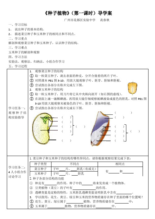 生物人教版七年级上册《种子植物》(第一课时)导学案