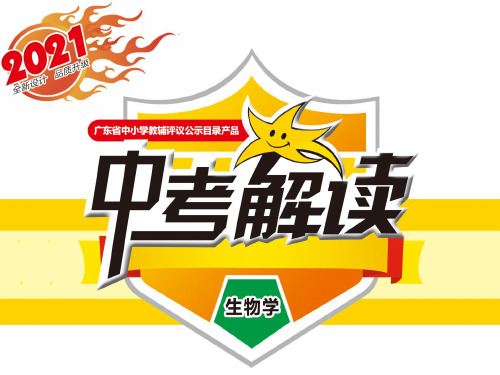 2021生物中考解读课件:第12章 人体生命活动的调节