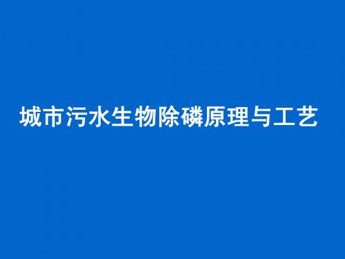 污、废水 深度处理——除磷的微生物学原理与工艺